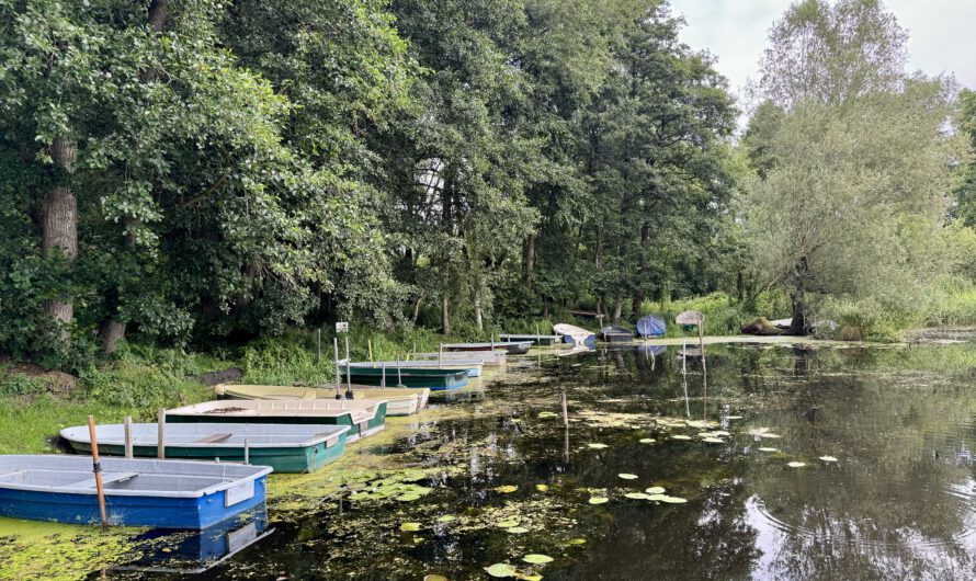 Kleiner gemütlicher Warnowhafen in Benitz