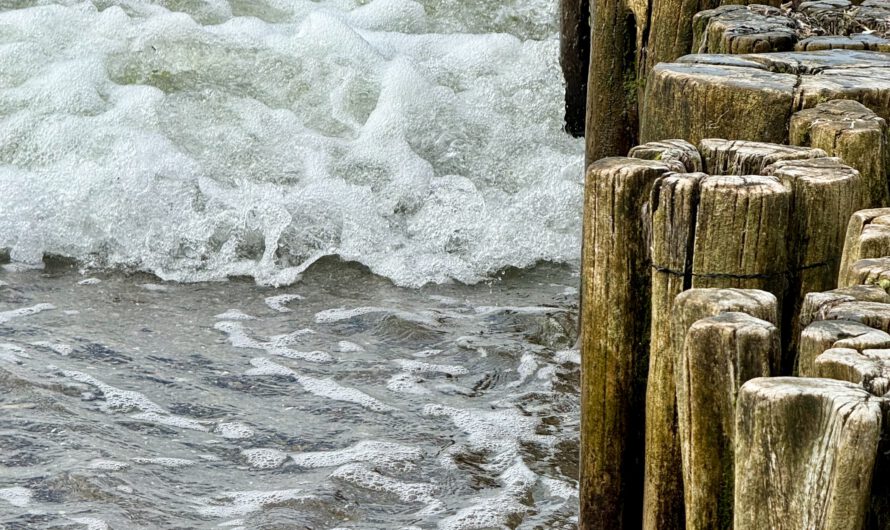 Ostsee zwischen Heiligendamm und Börgerende