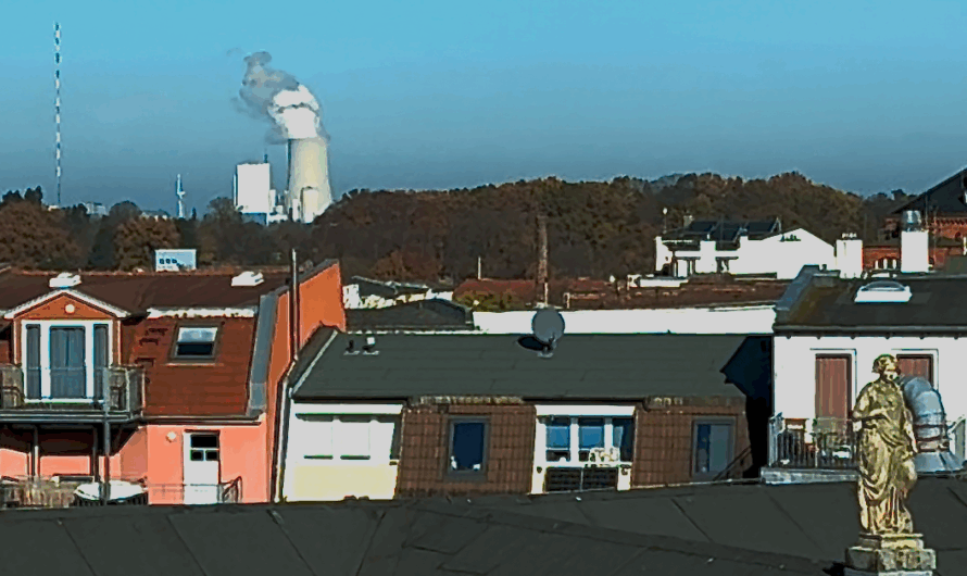 Die Kallmann-Homepage ist wieder im Netz